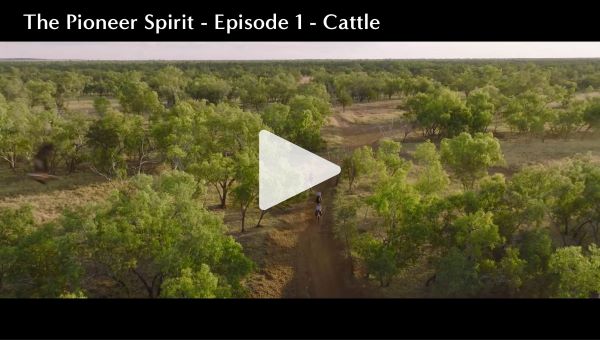 THe Pioneer Spirit - Ep1 - Cattle